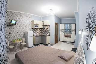 Апартаменты Apartament on Krakivska 34/10а Львов Апартаменты-студио-4